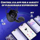 3 In 1 APP-Controlled Vibrating Cock Ring