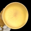 8.07in 11.22in Gold Silicone Super Large Anal Plug Dildo Anal Exercises
