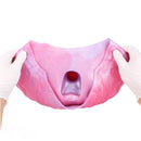 8.81in Knot Dog Silicone Monster Strap on Dildo For Couples Sex Using