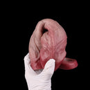 8.82in Blue Veins Hollow Dildo Cock Sleeve With Cock Ring For Vagina Sex