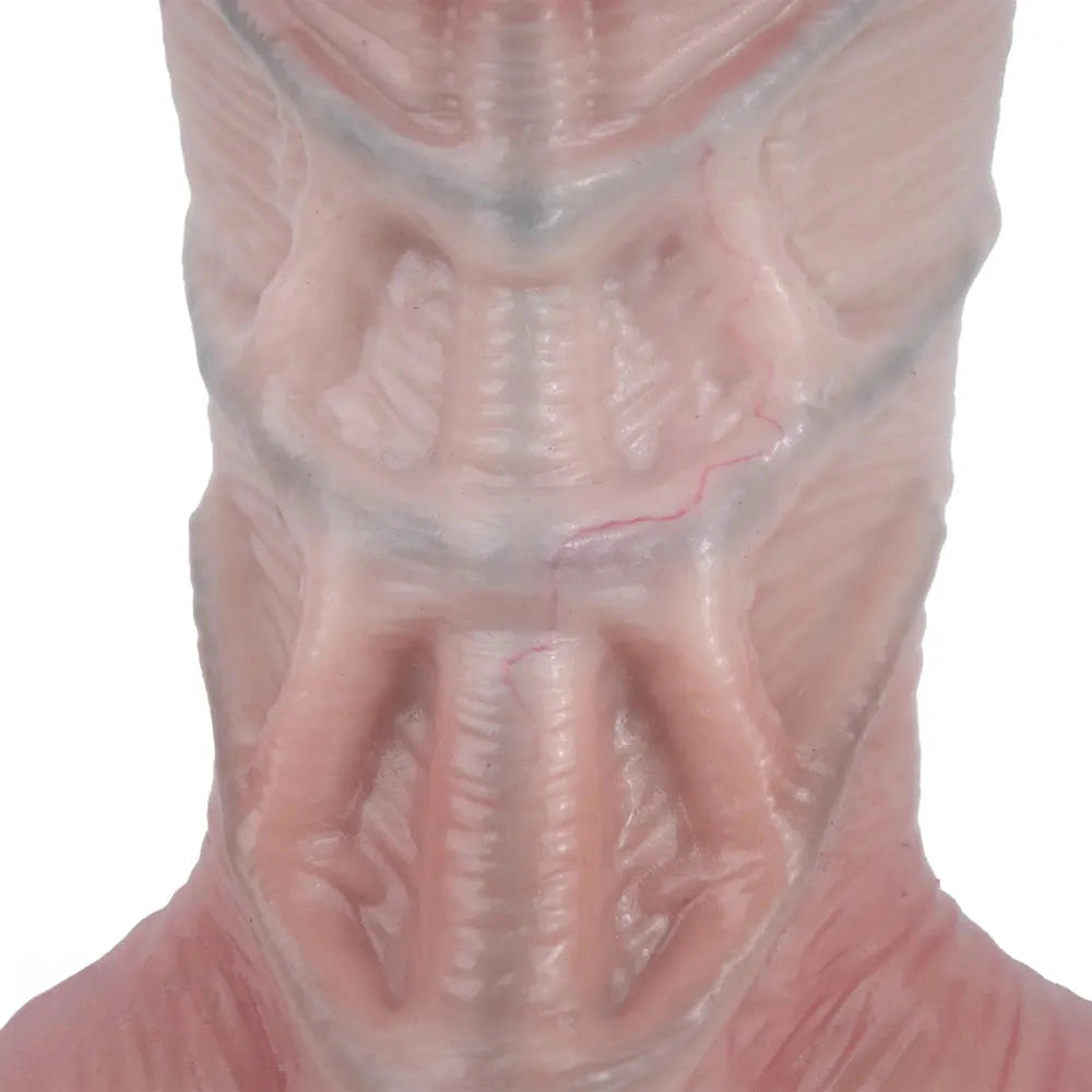 9.17in Double Layer Silicone Soft Big Dildo For Anal Training And Pleasure