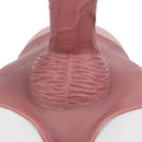 9.6in Hollow Leather Pants Strap on Dildo Liquid Silicone Dildo Sex Toy