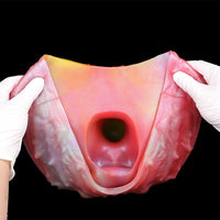 9.92in Sheath Strap on Dildo Silicone Monster Creature Cock Big Dildo