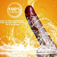 9in Ebony 4in1 Heating Thrusting Vibrating Rotation Remote Control Dildo