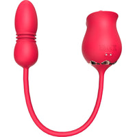 Licking Roman Rose NO. 10