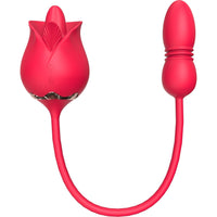Licking Roman Rose Series NO.1-10