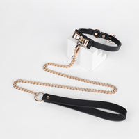SM Gold Bow Iridescent Collar With Leash Suit