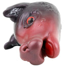 Pig Masturbator Grymvex Demon Boar Red Eye