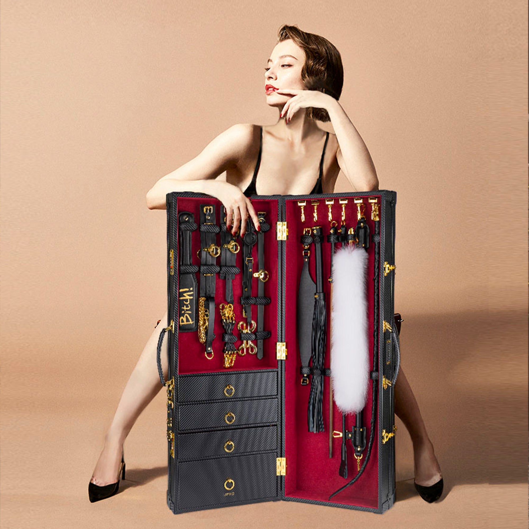 Luxury BDSM Vertical Trunk Kit