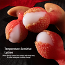 Handcrafted Textured Lychee Thermo-Reactive Fantasy Anal Plug