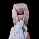 Apollo - 12.24in Dual Density Soft Dildo