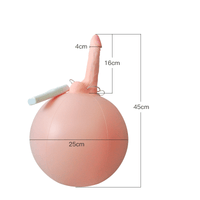 Bouncy Inflatable Sex Ball with Remote Control Vibrating Realistic Dildo