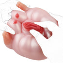 Lola Pink Heart Pig Dual Fantasy Buttocks Masturbator