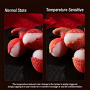 Handcrafted Textured Lychee Thermo-Reactive Fantasy Anal Plug