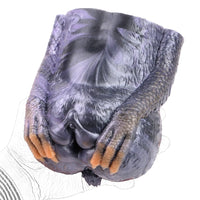 Butt Masturbator Gryphina Gryphon Dual Channel Violet