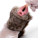 Furry Masturbator Lynxplux Grey Tabby Removable Sleeve