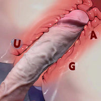 Maximus - 11.89in Dual Density Soft Dildo