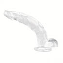 Multiple Lengths Clear Dildo For Women Men Gay Lesbian Sex Pleasure