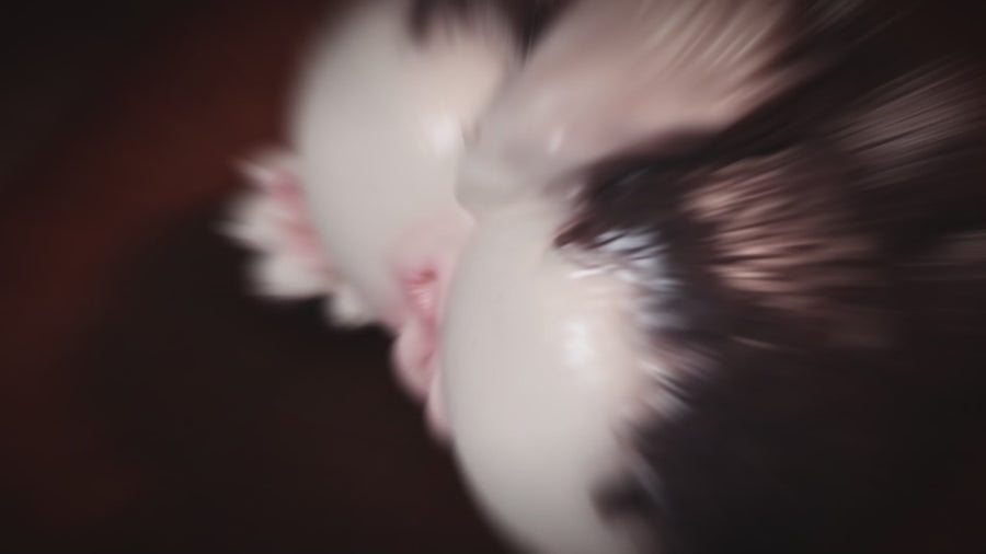 Roxie Wolf Furry Sex Doll Torso