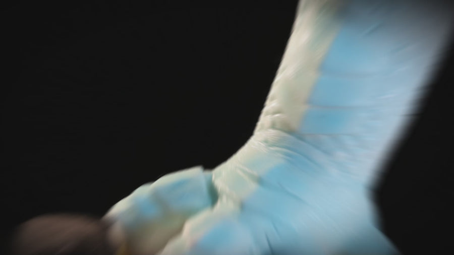 Frost Blue Dragon Claw Furry Masturbator