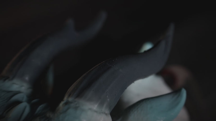 Aurora Dragon Furry Oral Sex Toy