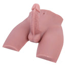 Realistic Male Torso Sex Toy With 5.5inch Flexible Dildo