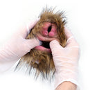 Furry Masturbator Simplux Amber Brown Plush Dual
