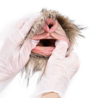 Furry Masturbator Tanplux Blond Fur Dual Entry