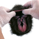 Furry Masturbator Ursplux Dark Brown Dual Entry Hybrid