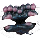 Canine Paw Masturbator Veldrak Double Midnight Blue